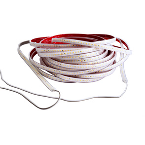 LED Stripes ab IP44 bei Elektro Kögl GmbH in Schliersee